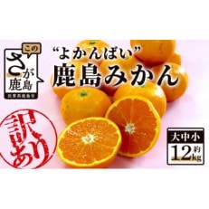 ”よかんばい”鹿島産みかん 訳アリ 約12kg 大中小サイズ別【2023年発送】