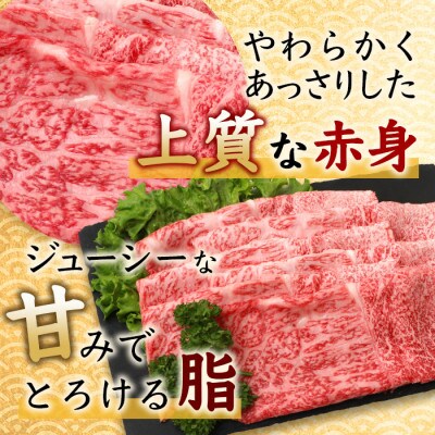 佐賀牛 モモライス 500g C-104