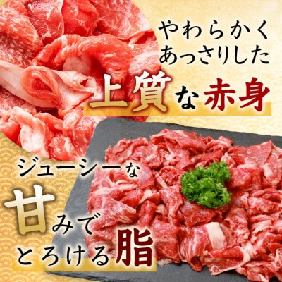 佐賀牛 切り落とし 500g×4【合計2kg】