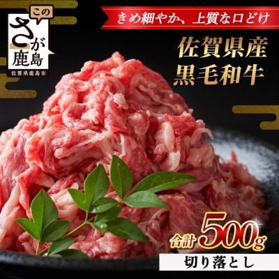 佐賀県産 黒毛和牛 切り落とし 500g B-862