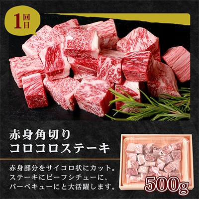 【毎月定期便】佐賀牛 食べ比べお試し定期便 F-57全3回