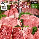 【毎月定期便】佐賀牛 食べ比べ(モモ・肩ロース・サーロイン・切落し・ローストビーフ他)R-9 全6回