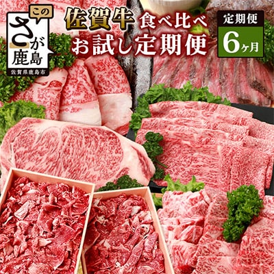 【毎月定期便】佐賀牛 食べ比べ(モモ・肩ロース・サーロイン・切落し・ローストビーフ他)R-9 全6回