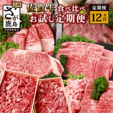 【毎月定期便】佐賀牛 食べ比べ(モモ・肩ロース・サーロイン・ローストビーフ・焼肉)V-45 全12回