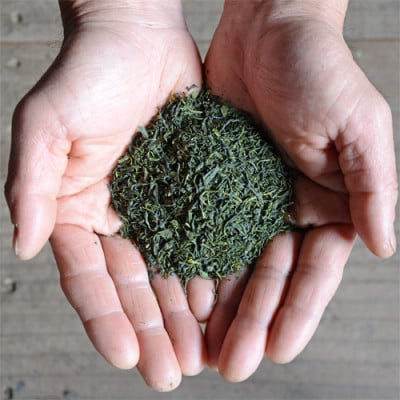 【うれしの茶】700g(350g×2袋)四代続くお茶農家のこだわりの緑茶