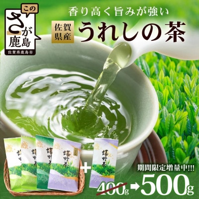 佐賀県産 うれしの茶(やぶきた茶)100g×5本【合計500g】美味しいお茶をご家庭用に