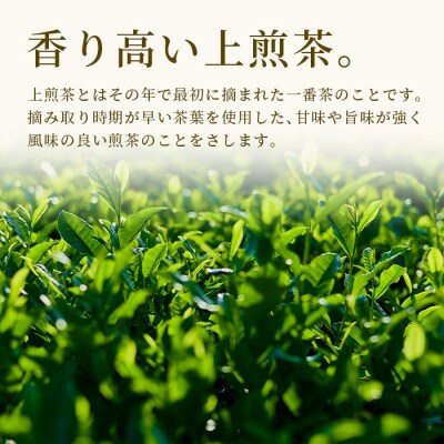 嬉野茶 上煎茶 500g (100g×5本)