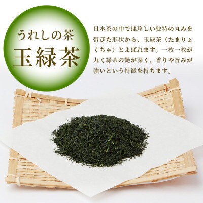 嬉野茶 上煎茶 500g (100g×5本)