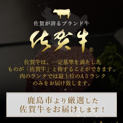 佐賀牛 最高級部位『シャトーブリアン』800g(200g×4枚)+今だけ!佐賀牛カルビ焼肉用300g