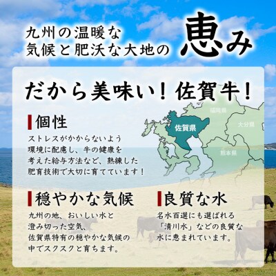 佐賀牛 最高級部位『シャトーブリアン』800g(200g×4枚)+今だけ!佐賀牛カルビ焼肉用300g