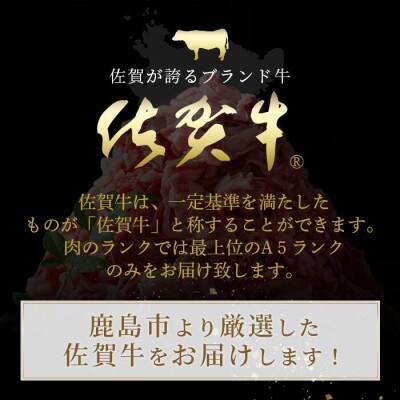 【訳アリ】佐賀牛　もも切り落とし　総重量2,000g