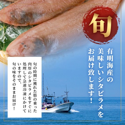 【下処理済で簡単調理】有明海産 シタビラメ約150g×2尾【合計約300g】
