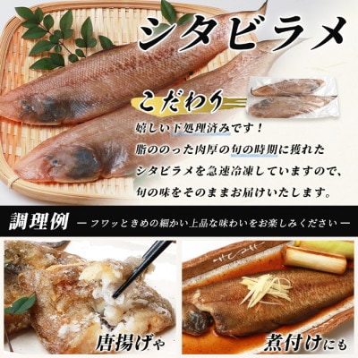 冷凍芝エビ(真エビ)1kg(500g×2パック)&有明海産 シタビラメ約150g×2尾【有明海の恵】