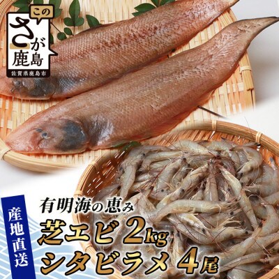冷凍芝エビ(真エビ)2kg(500g×4パック)&有明海産 シタビラメ約150g×4尾【有明海の恵】