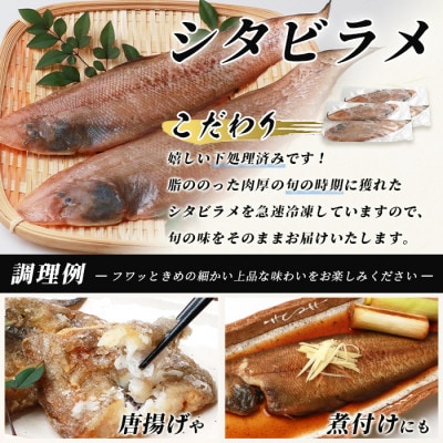 冷凍芝エビ(真エビ)2kg(500g×4パック)&有明海産 シタビラメ約150g×4尾【有明海の恵】