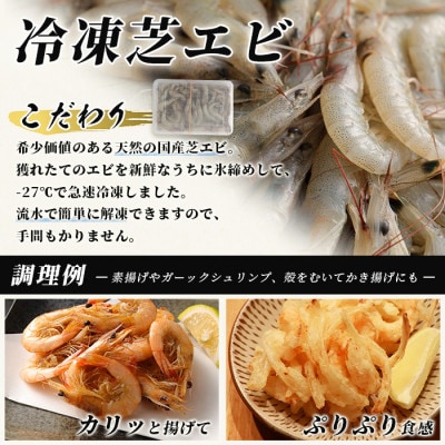 【有明海産 アミエビ使用】あみ漬け 6パック & 冷凍芝エビ(真エビ)3kg
