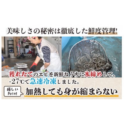佐賀県産　芝エビむき身　500g