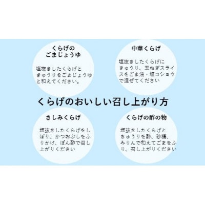 佐賀県産計1000g生クラゲ