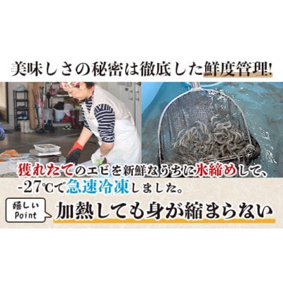 佐賀県産　天然芝エビむき身　1kg