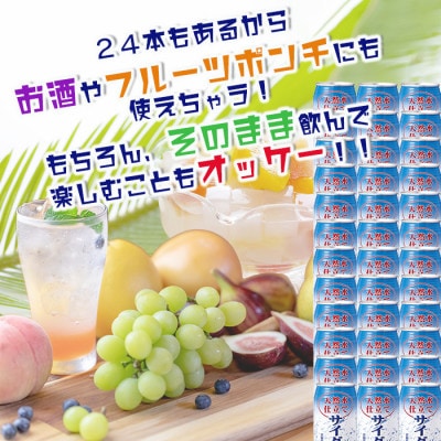 天然水仕立てサイダー 【350ml缶×24本入】炭酸飲料