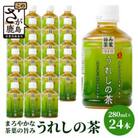 うれしの茶　280mlペットボトル×24本入