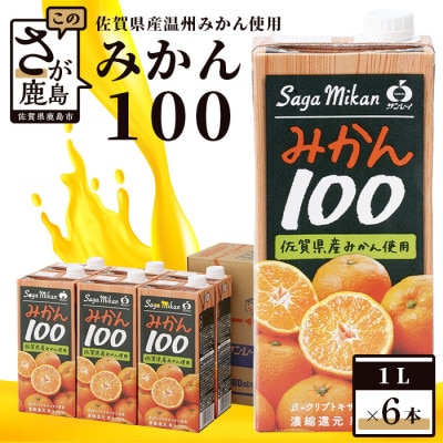 サンレイ『みかん100』 1L×6本(果汁100%)