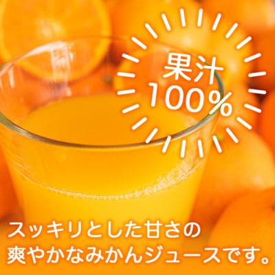 サンレイ『みかん100』 1L×6本(果汁100%)