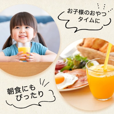 サンレイ『さがみかん100%搾り』330ml×12本