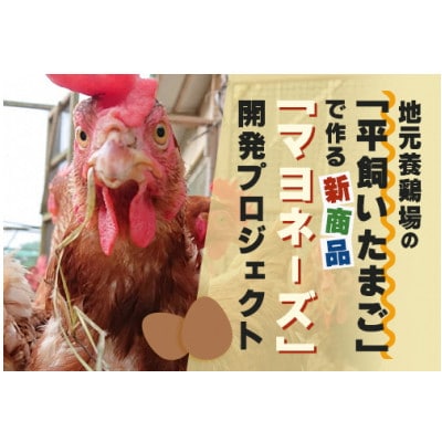 【返礼品なし】地元養鶏場の「平飼いたまご」で作る新商品開発プロジェクトを応援!