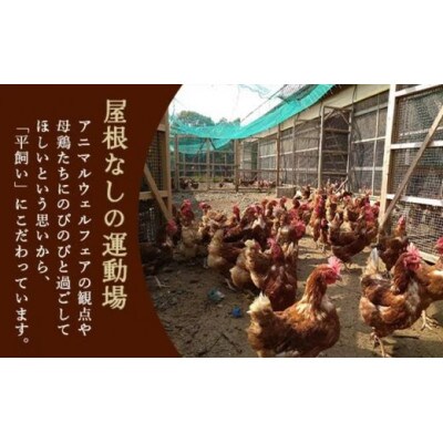 【返礼品なし】地元養鶏場の「平飼いたまご」で作る新商品開発プロジェクトを応援!