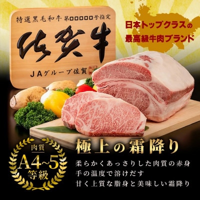 【訳あり】佐賀牛 ヒレ焼肉用(切落し) 600g(鹿島市)