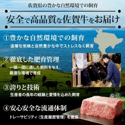 佐賀牛煉瓦ステーキ1kg(ブロック)(鹿島市)