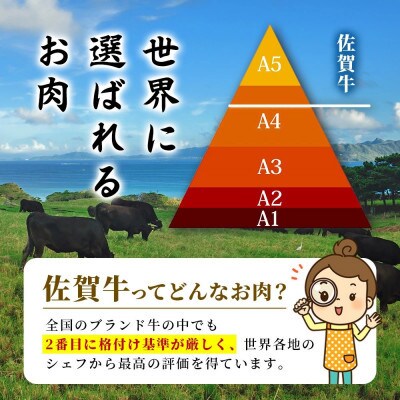 佐賀牛煉瓦ステーキ1kg(ブロック)(鹿島市)