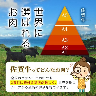 旨い!佐賀牛肩・モモ切り落とし 500g(鹿島市)