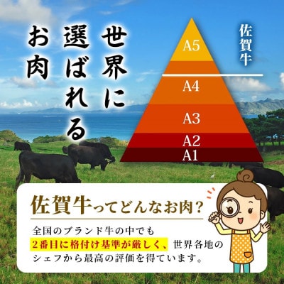 佐賀牛ヒレシャトーブリアン200g×5枚(鹿島市)