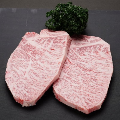 佐賀牛特上サーロインステーキ250g×2枚(鹿島市)