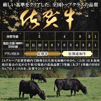 佐賀牛特上サーロインステーキ250g×2枚(鹿島市)