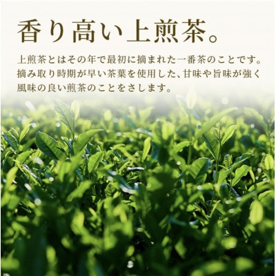 佐賀県産 うれしの茶 350g×2袋(合計700g)リーフ 茶葉