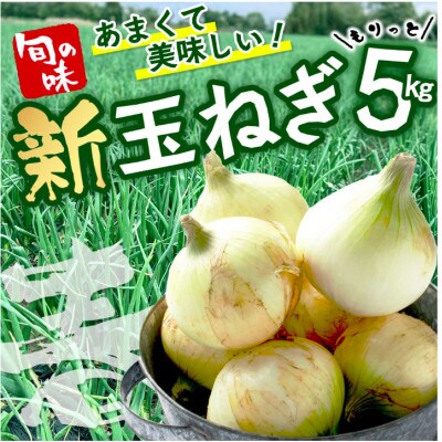鹿島市産 新玉ねぎ 合計5kg