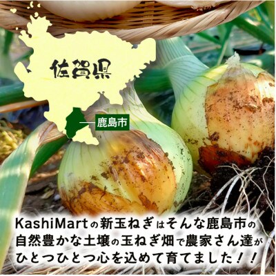鹿島市産 新玉ねぎ 合計5kg