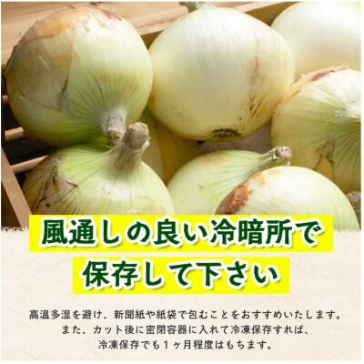 鹿島市産 新玉ねぎ 合計5kg