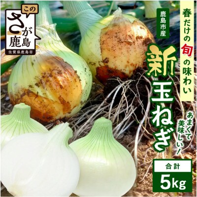 鹿島市産 新玉ねぎ 合計5kg