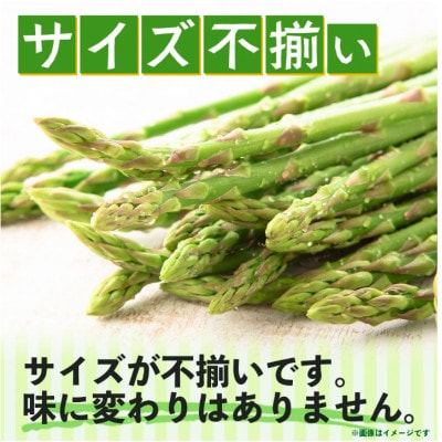 新鮮朝獲れ!!鹿島市産 アスパラガス 合計500g 【美味しい野菜で彩を】