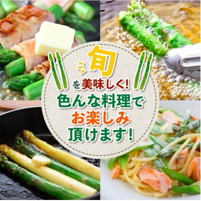 新鮮朝獲れ!!鹿島市産 アスパラガス 合計500g 【美味しい野菜で彩を】