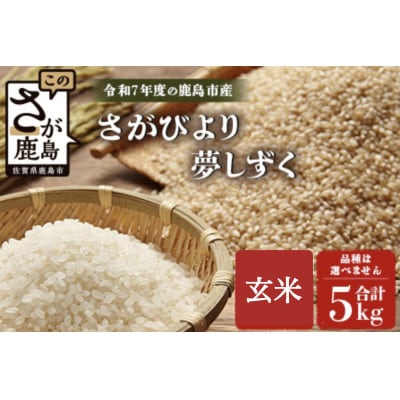 令和7年度産 鹿島市産 [さがびよりor夢しずく] 5kg 1袋 【品種指定不可】 玄米