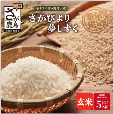 令和7年度産 鹿島市産 [さがびよりor夢しずく] 5kg 1袋 【品種指定不可】 玄米
