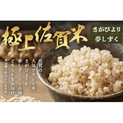 令和7年度産 鹿島市産 [さがびよりor夢しずく] 5kg 1袋 【品種指定不可】 玄米