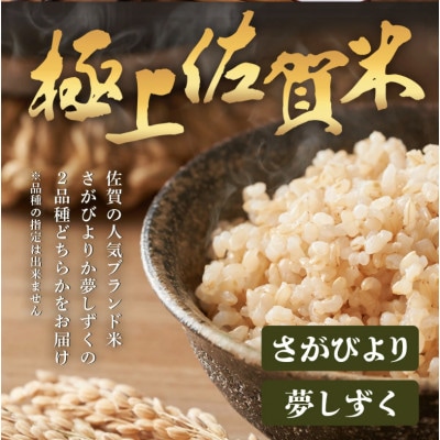 令和7年度産 鹿島市産 [さがびよりor夢しずく] 5kg 1袋 【品種指定不可】 玄米