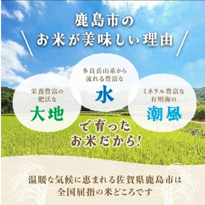 令和7年度産 鹿島市産 [さがびよりor夢しずく] 5kg 1袋 【品種指定不可】 玄米