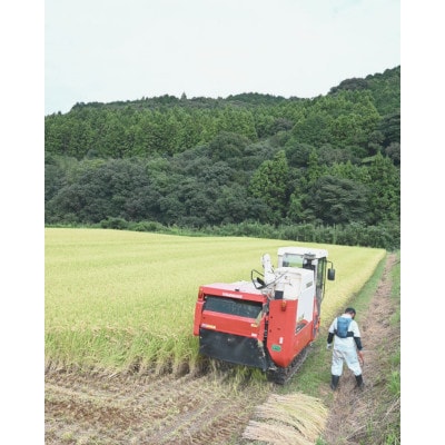 令和7年度産 鹿島市産 [さがびよりor夢しずく] 5kg 1袋 【品種指定不可】 玄米